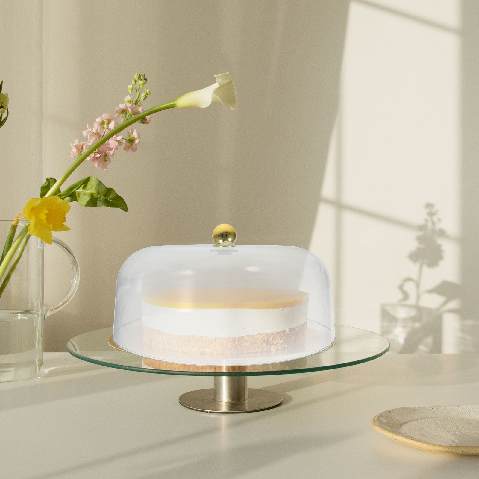 Kunststoff-Kuchenkuppel 28 cm, – Plastic Dome Clear Bewertung und Preis