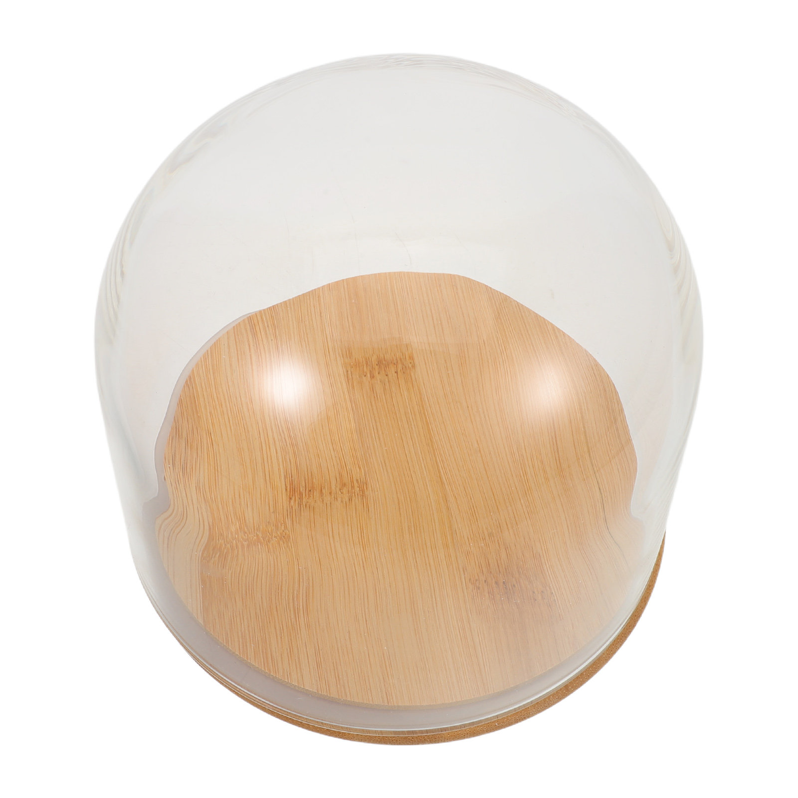 Klare Glasglocke mit versiegel – Plastic Dome Clear Bewertung und Preis